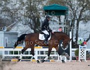 Novella del Castegno Tosc Tour2013- S5 1871 : Arezzo, Cavalli d'Italia, Novella del Castegno, Toscana Tour 2013, foto di Stefano Secchi ©